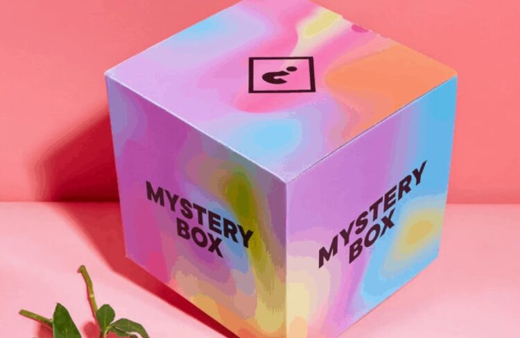mystery travel box