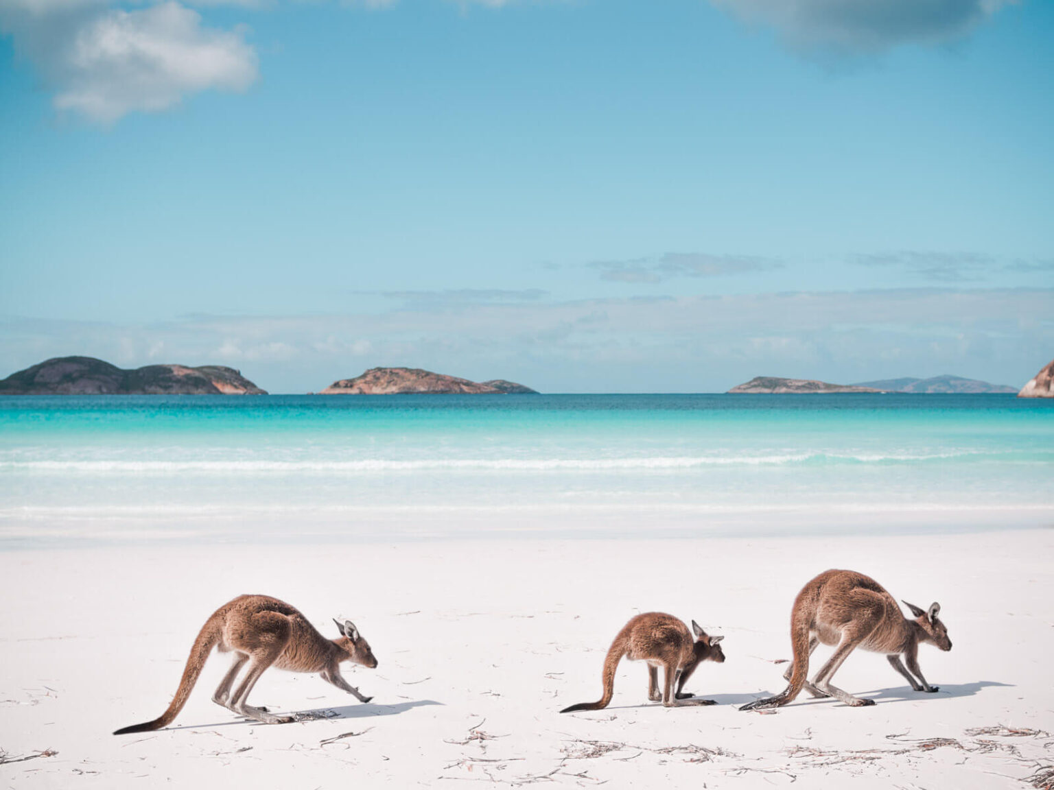 Australia's Best Emerging Nature Experiences